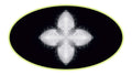 Artwork featuring a white abstract star-like pattern in a black oval with green border against a white background.