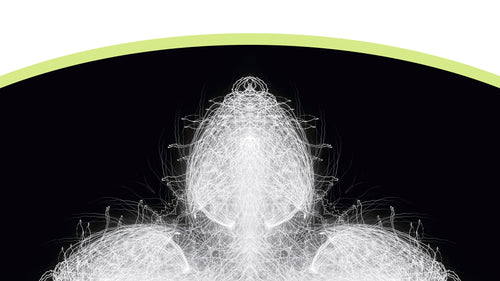 Detail of a design featuring an abstract pattern made of fine white lines centred within a curved black shape with a light green border against a white
background.